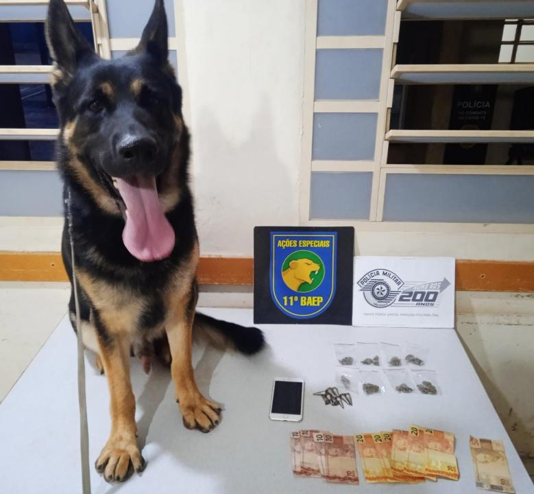 Foto 2 de 2 — BAEP Canil realiza operação contra o tráfico de drogas em Araraquara